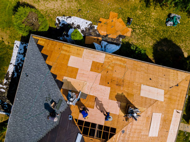 Best Metal Roofing Contractor  in Newport, RI