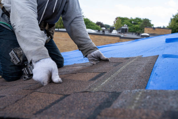 Best New Roof Installation  in Newport, RI